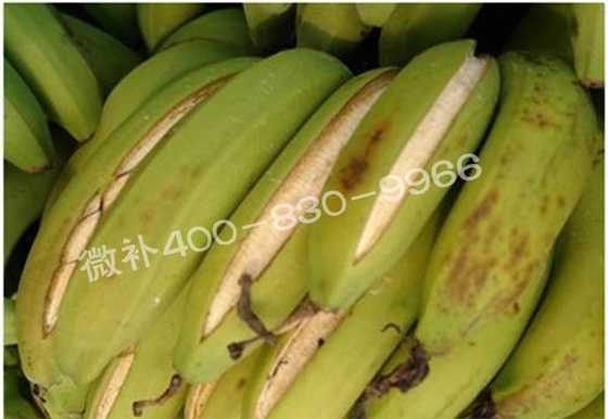 粉蕉抽蕾后如何施肥？